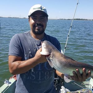 Meet your Posher, Leonel