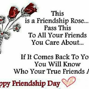 Meet your Posher, Timothy