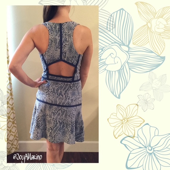 Parker Blue Dress - Picture 2 of 2
