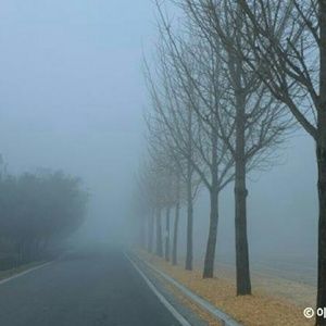 Meet your Posher, Sung