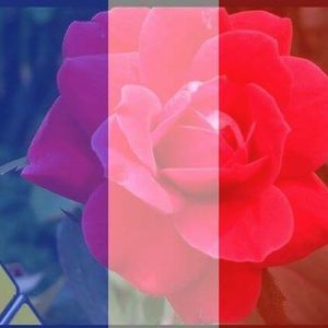 Meet your Posher, Faith