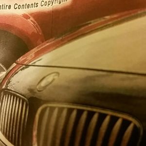 Meet your Posher, Shannon