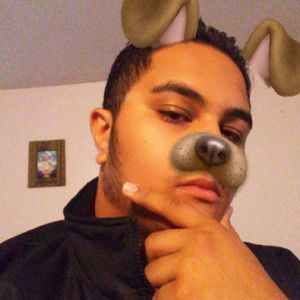 Meet your Posher, Frankie