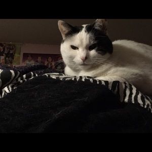 Meet your Posher, Nancy