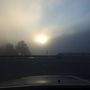 Meet your Posher, Cristy