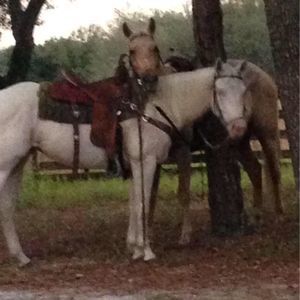 Meet your Posher, Candy