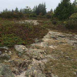 Meet your Posher, Sheila