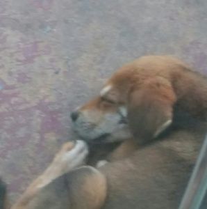 Meet your Posher, Cynthia