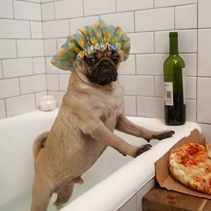 Meet your Posher, Yared