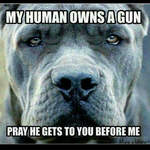 Enough said - Picture 2 of 4