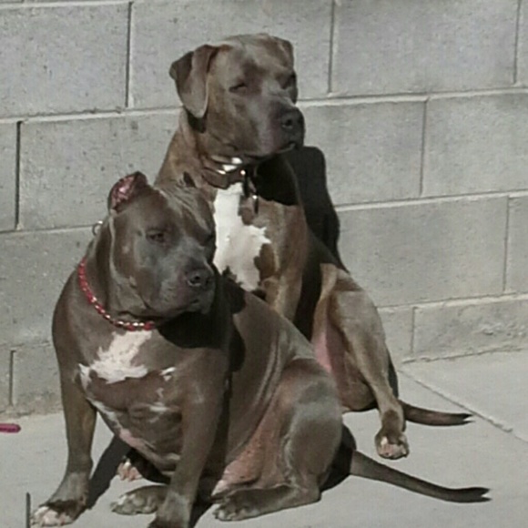 Enough said - Picture 3 of 4