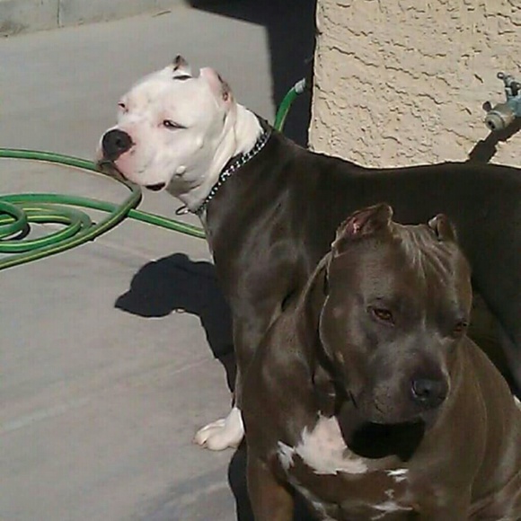 Enough said - Picture 4 of 4