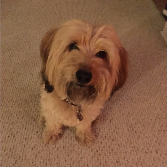 Meet your Posher, Christina - Picture 1 of 1