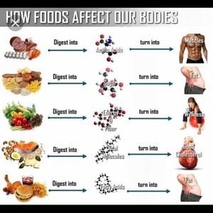 Meet your Posher, Faye