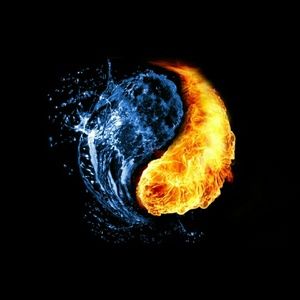 Meet your Posher, Leland