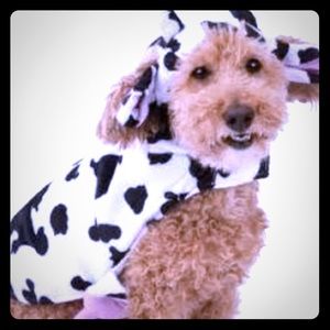 Small pet cow costume