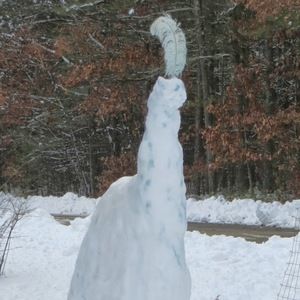 Meet your Posher, Carren