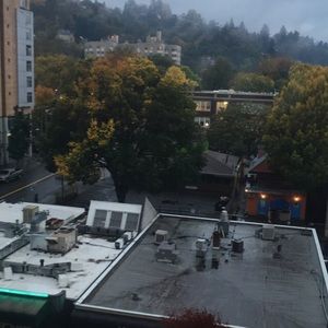 Meet your Posher, Isaiah