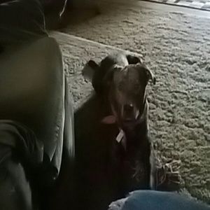 Meet your Posher, Shawn