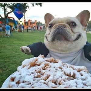 Bundle for @beightaslove