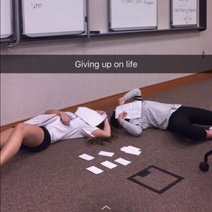 Meet your Posher, Sam