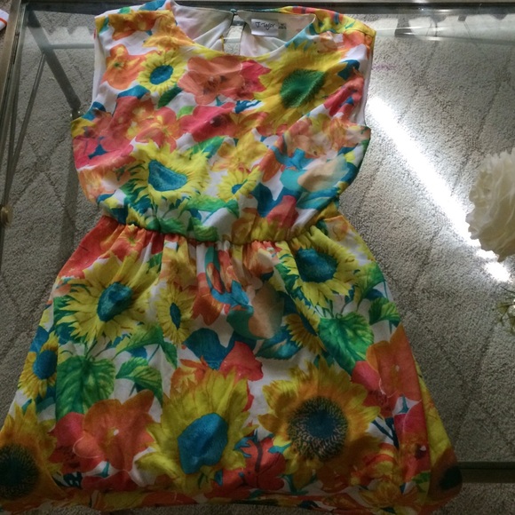 Spring Dress - Picture 2 of 3