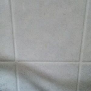 Meet your Posher, Shanica