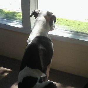 Meet your Posher, Amyjason