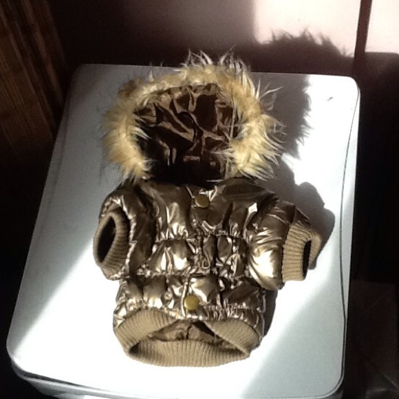 Dog Bomber Jacket