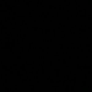 Meet your Posher, Luz