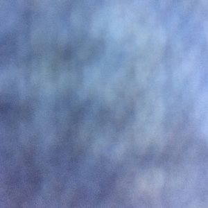 Meet your Posher, Mitch