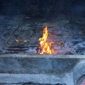 Meet your Posher, Alvin