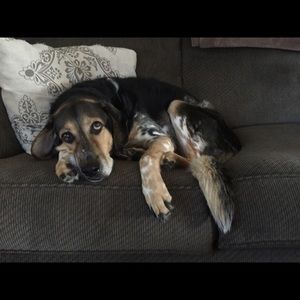 Meet your Posher, Mike