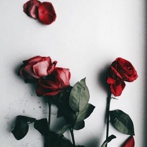 Meet your Posher, Ro