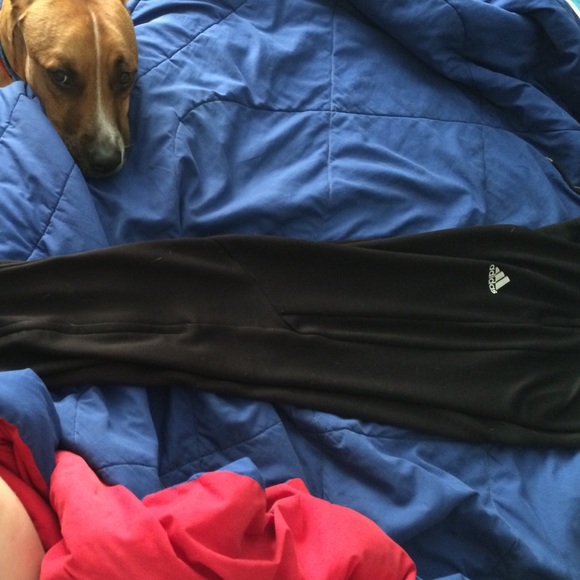 Adidas joggers - Picture 2 of 2