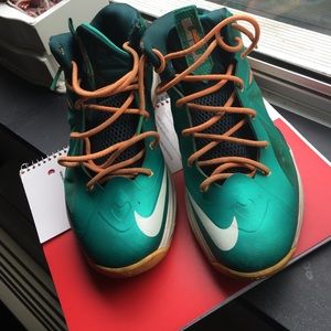 LeBron dolphins