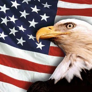 Meet your Posher, Estelle