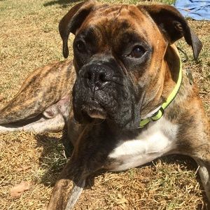 Meet your Posher, Joseph