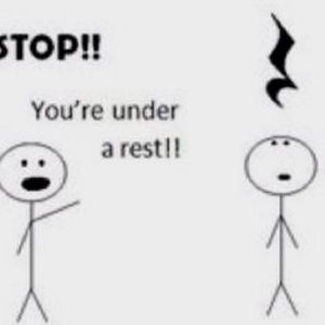 Meet your Posher, Maddie