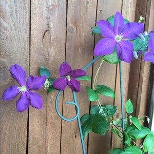 Meet your Posher, Sheila