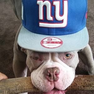 Meet your Posher, Rich