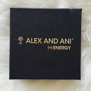 Alex and Ani bracelet
