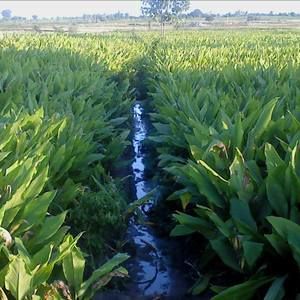 Meet your Posher, Billie