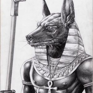 Meet your Posher, Rey