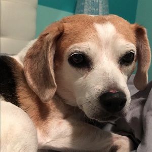 Meet your Posher, Maddie