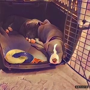 Meet your Posher, Jay