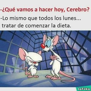 Meet your Posher, Noemi