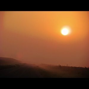 Meet your Posher, Janice