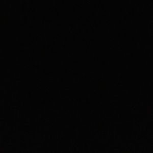 Meet your Posher, Marilyn