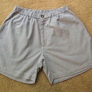 Chubbies Men's Shorts. medium